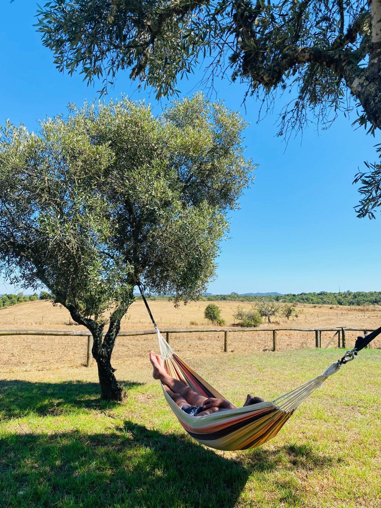 Monte Da Charnequinha Velha Villa Cercal do Alentejo Exterior photo